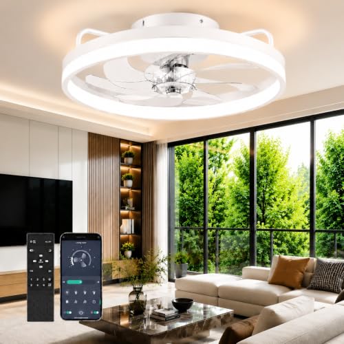 Ceiling Fans with Lights and Remote
