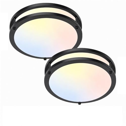 Ceiling Lights