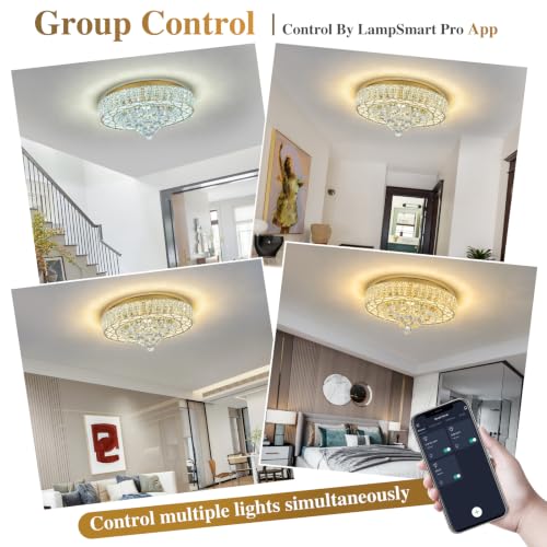 611 Flush Mount Chandelier