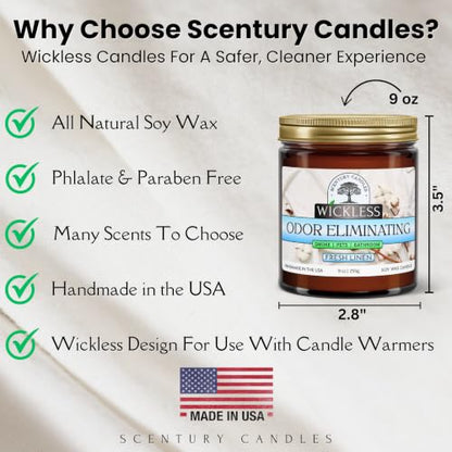Wickless Odor Eliminating Candle for Candle Warmer Lamp