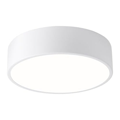 LED Ceiling Light