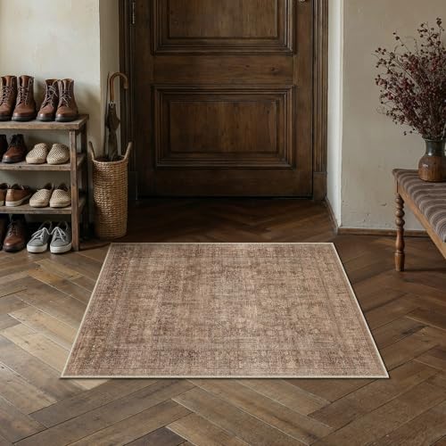 Classic Brown 2x3 Neutral Area Rugs for Entryway Door Mat (Classic Brown / 2' x 3' (Rectangular))