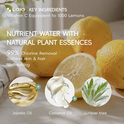 Korean 3-in-1 Aroma Filtering & Skin-Nourishing Shower Filter (Jeju Forest)