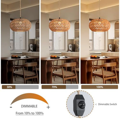 Hanging Lamp 12 inch Boho Plug in Pendant Light