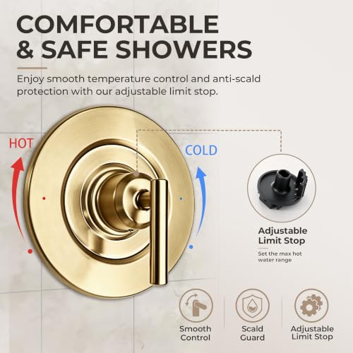 Shower Valve Trim Kit Compatible with Moen Gibson T2901 Posi