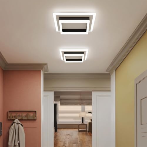 Square Modern LED Ceiling Light (White&Black / 10.62 Inches)