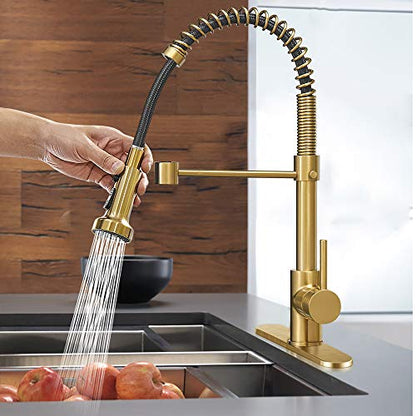 High Arc Spring Kitchen Faucet with Pull Down Sprayer