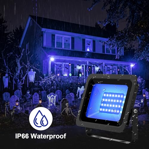 365nm UV Black Light