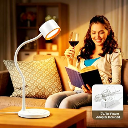 Desk lamp with USB Charging Ports
