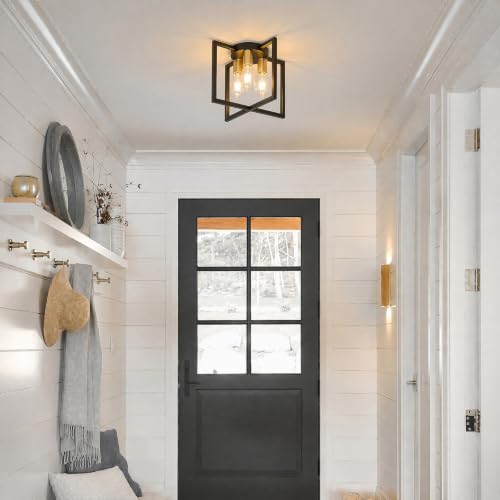 3 Light Ceiling Light