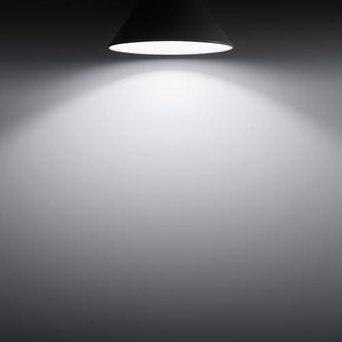 A19 Dusk to Dawn Light Bulbs