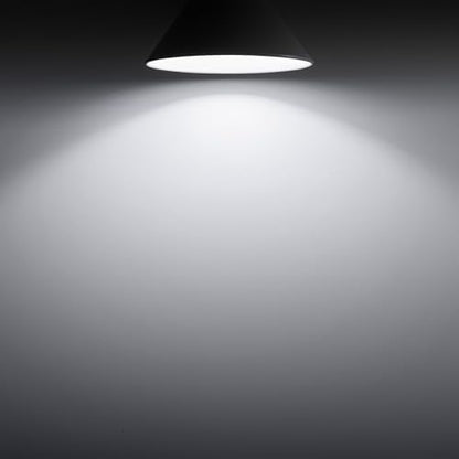A19 Dusk to Dawn Light Bulbs