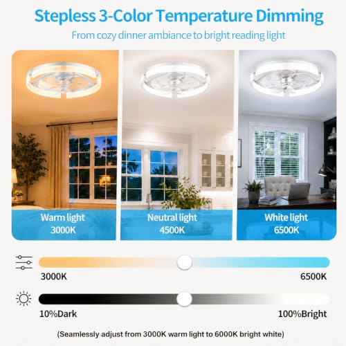 Ceiling Fans with Lights and Remote