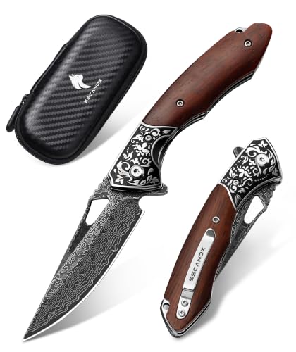 Damascus Pocket Knife for Men