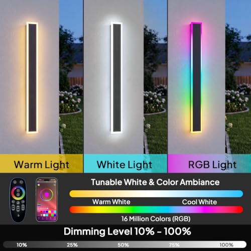 2 Pack LY RGB Outdoor Wall Lights