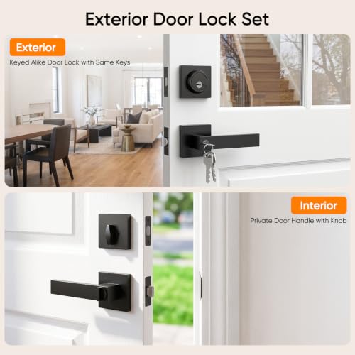 Exterior Door Lock Set