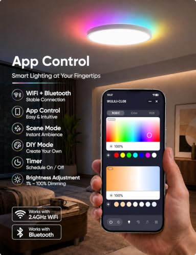Smart RGB Ceiling Light 12 Inch RGBCCT WiFi App Voice Control