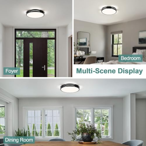 Modern Flush Mount Ceiling Light Fixture