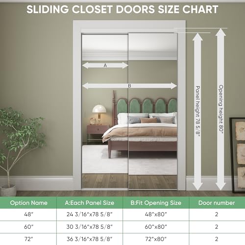 Mirrored Sliding Closet Door