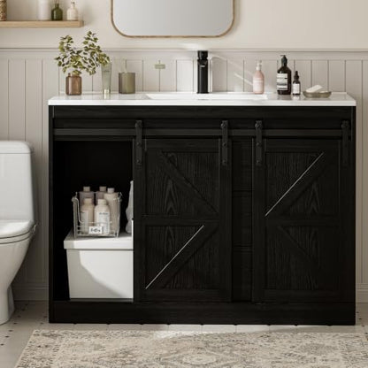 Bathroom Vanity with Sink