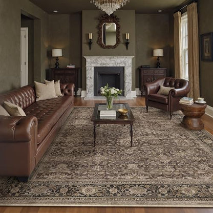 Brown Washable 8x10 Area Rugs for Living Room Bedroom (Retro | Brown / 8' x 10' (Rectangular))