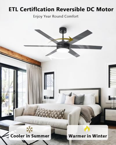 Large Ceiling Fan with Lights