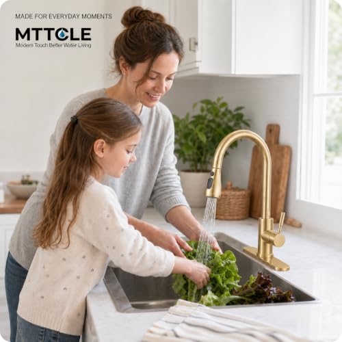 Commercial Kitchen Faucet with Pull Down Sprayer