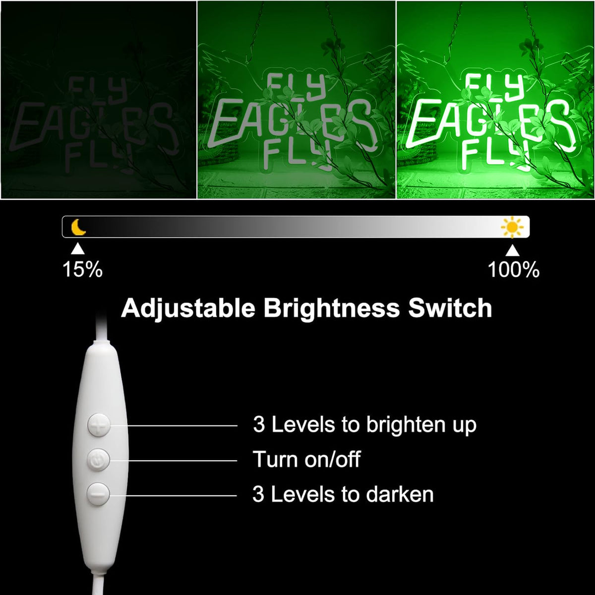 Eagles Team Chant Neon Signs for Wall Decor Team Chant Neon Lights for Bedroom Led Signs Suitable for Dormitory Man Cave Christmas Gift (Eagles 003)