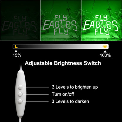 Eagles Team Chant Neon Signs for Wall Decor Team Chant Neon Lights for Bedroom Led Signs Suitable for Dormitory Man Cave Christmas Gift (Eagles 003)