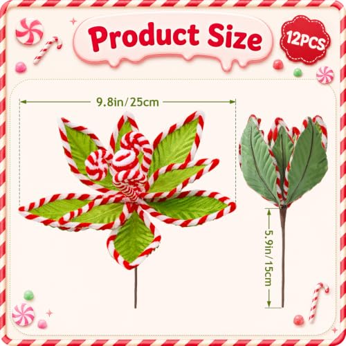 12 PCS Green Candy Cane Poinsettia (Green Whimsy)