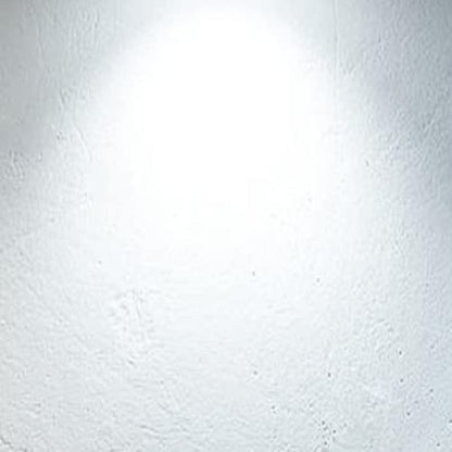 6 Pack G16.5 LED Light Bulbs