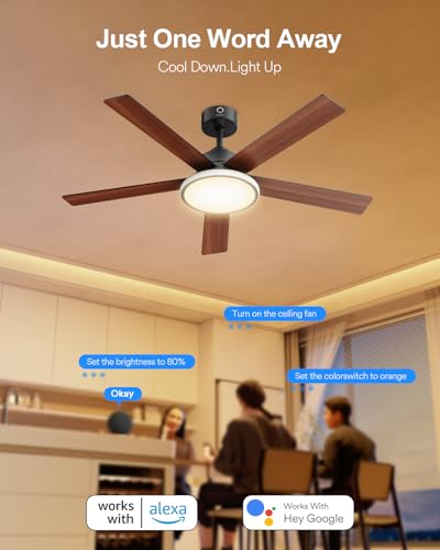 Smart RGB Ceiling Fans with Lights 52in