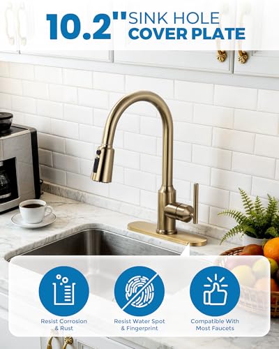 10.2 Inch Faucet Deck Plate