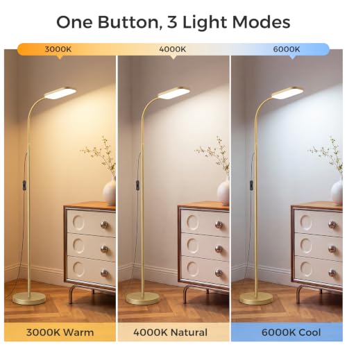 led Floor lamp
