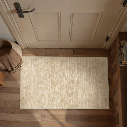 2x3 Area Rugs Beige Washable Entryway Rug (L| Beige / 2' x 3' (Rectangular))
