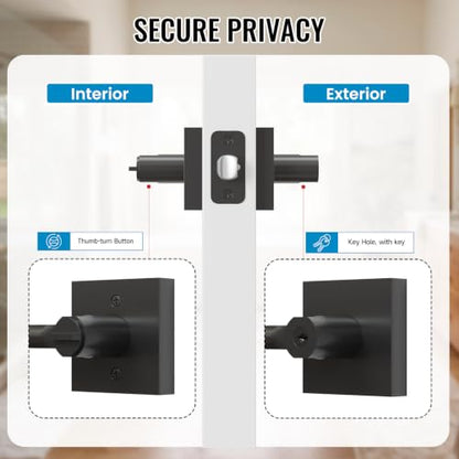 Entry Door Handles with Lock and Key (Matte Black)