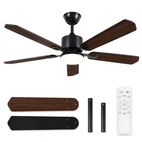 Ceiling Fans with Lights