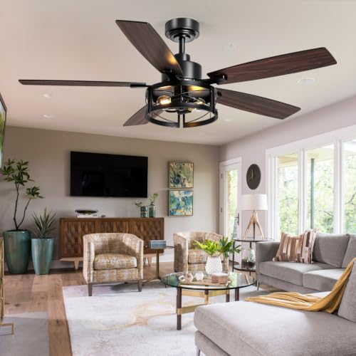 ceiling fan