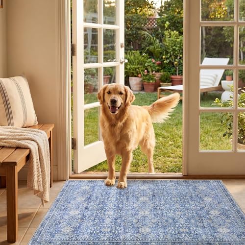 2x3 Area Rugs (Blue / 2' x 3' (Rectangular))