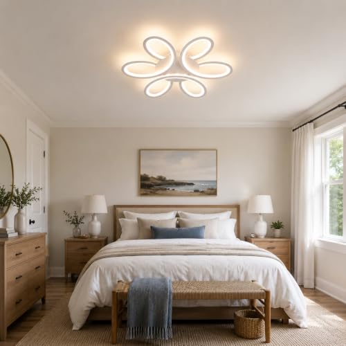 Modern LED Ceiling Light