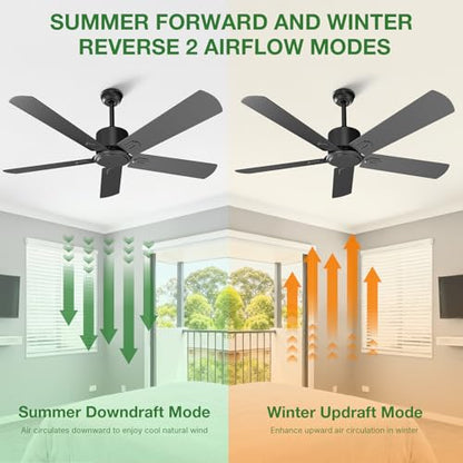 Black Ceiling Fan