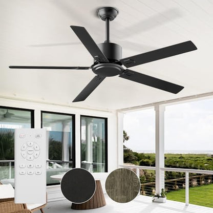 Black Ceiling Fan