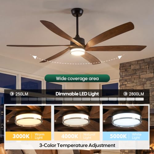 604 Smart Ceiling Fan with Light