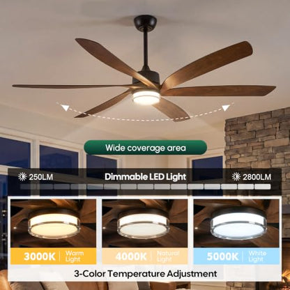 604 Smart Ceiling Fan with Light
