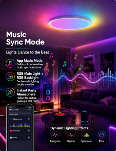 Smart RGB Ceiling Light 12 Inch RGBCCT WiFi App Voice Control