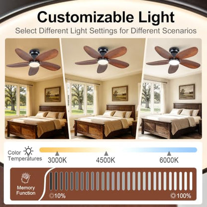 Ceiling Fan with Light