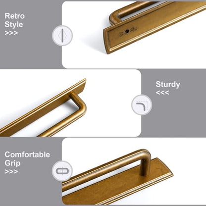 2 Pack Cabinet Pulls with Backplate 2510