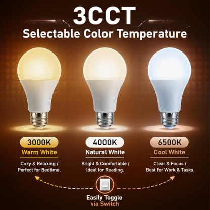 5V E26 LED Bulb
