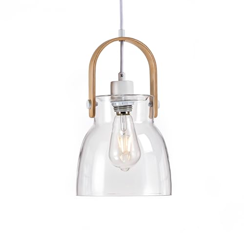 Hand Blown Glass Pendant Light
