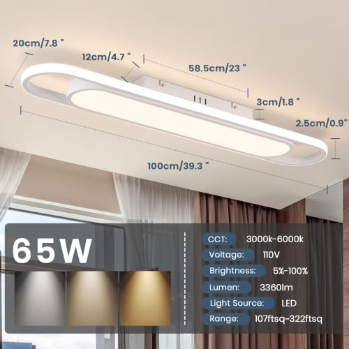 Modern LED Ceiling Light